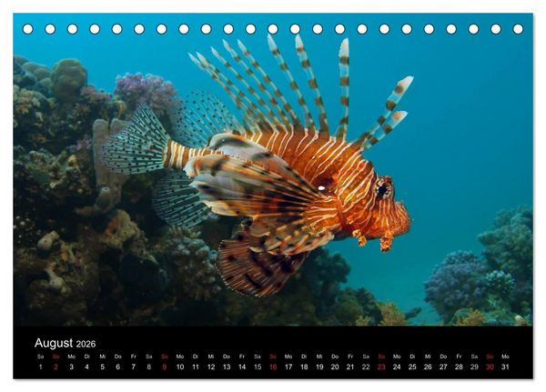 Produktbild: Unterwasser (Tischkalender 2026 DIN A5 quer), CALVENDO Monatskalender