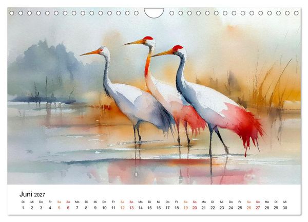 Produktbild: Kraniche zwischen Wind und Weite (Wandkalender 2027 DIN A4 quer), CALVENDO Monatskalender