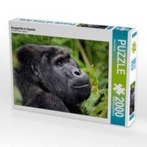 CALVENDO Puzzle Berggorilla in Uganda 2000 Teile Lege-Größe 90 x 67 cm Foto-Puzzle Bild von Wibke Woyke