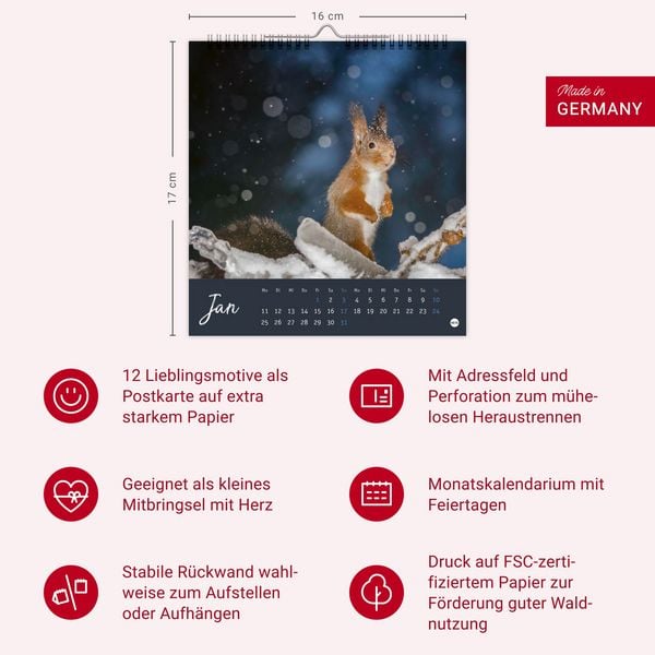 Produktbild: Eichh&ouml;rnchen Postkartenkalender 2027