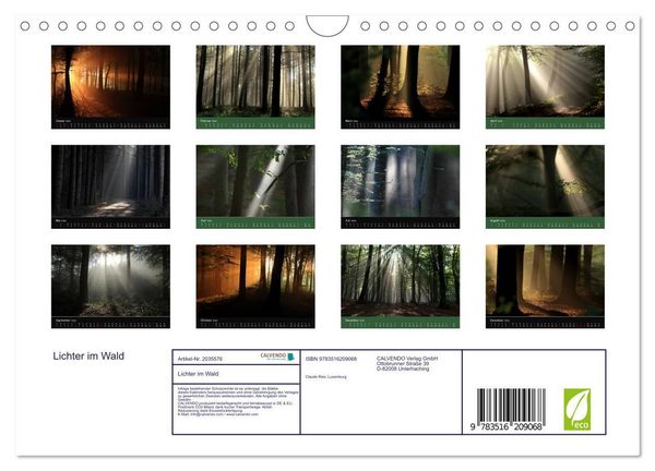 Produktbild: Lichter im Wald (Wandkalender 2026 DIN A4 quer), CALVENDO Monatskalender