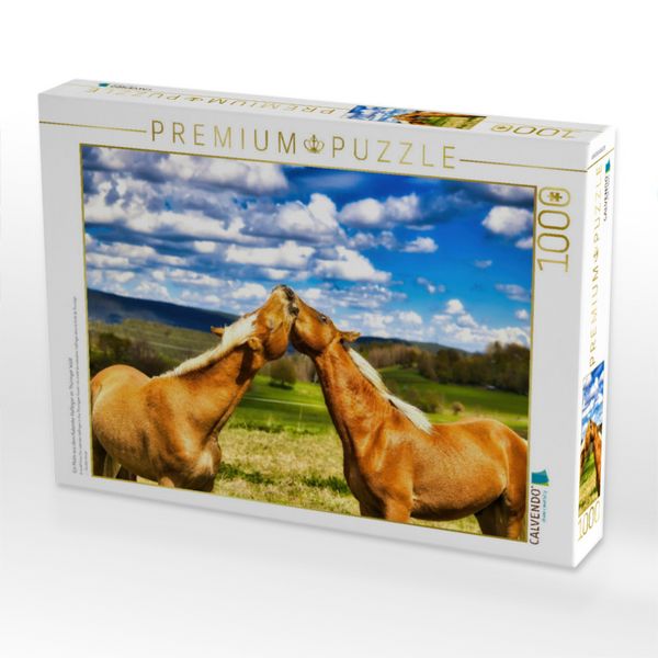 Produktbild: CALVENDO Puzzle Ein Motiv aus dem Kalender Haflinger im Th&uuml;ringer Wald | 1000 Teile Lege-Gr&ouml;&szlig;e 64x48cm Foto-Puzzle f&uuml;r gl&uuml;ckliche Stunden