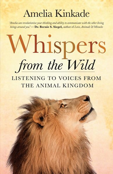 Produktbild: Whispers from the Wild