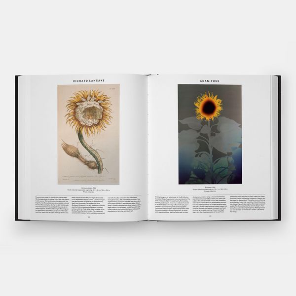 Produktbild: Plant