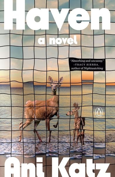 Haven, Taschenbuch von Ani Katz, Pan macmillan Ltd., 9780143138679