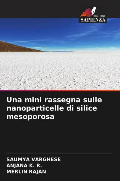 Produktbild: Una mini rassegna sulle nanoparticelle di silice mesoporosa