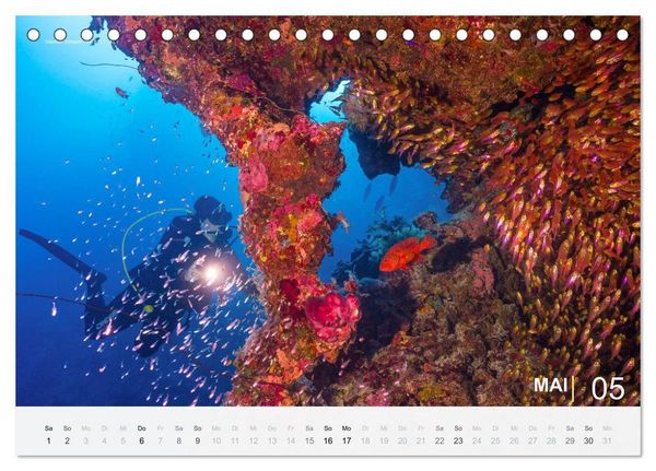 Produktbild: Die sch&ouml;nsten Korallenriffe zum Tauchen in &Auml;gypten (Tischkalender 2027 DIN A5 quer), CALVENDO Monatskalender