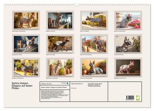 Produktbild: Sphinx Katzen. Eleganz auf leisen Pfoten (Wandkalender 2026 DIN A2 quer), CALVENDO Monatskalender