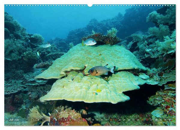Produktbild: Mikronesien: Yap und Palau (hochwertiger Premium Wandkalender 2026 DIN A2 quer), Kunstdruck in Hochglanz