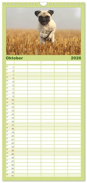 Produktbild: Familienplaner 2026 - Der MOPS-Kalender mit 5 Spalten (Wandkalender, 21 x 45 cm) CALVENDO