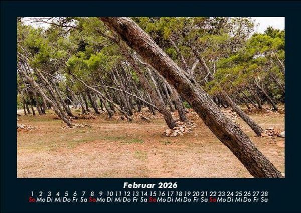 Produktbild: Waldzauber 2026 Fotokalender DIN A5