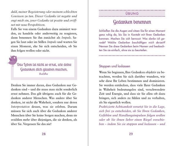 Produktbild: Seelenschutz f&uuml;r Hochsensible
