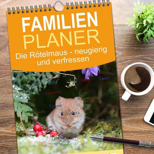 Produktbild: Familienplaner 2026 - Die R&ouml;telmaus - neugierig und verfressen mit 5 Spalten (Wandkalender, 21 x 45 cm) CALVENDO