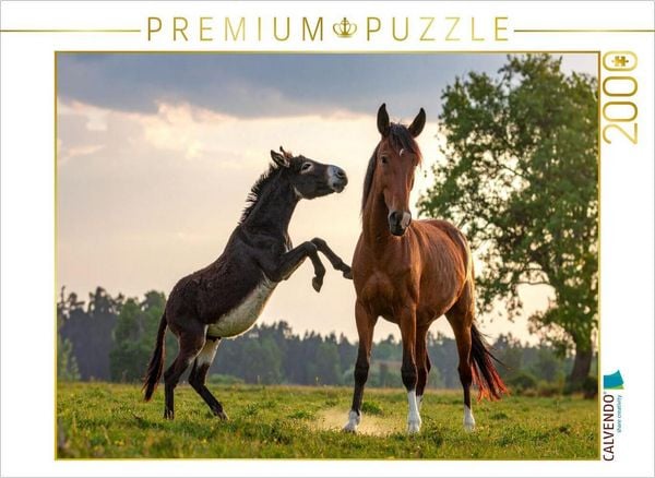 CALVENDO Puzzle Komm, spiel mit mir - Esel und Pferd | 2000 Teile Lege-Größe 90 × 67 cm Foto-Puzzle für glückliche Stunden