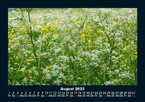 Produktbild: Blumenkalender 2025 Fotokalender DIN A5
