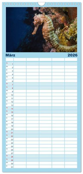 Produktbild: Familienplaner 2026 - Hippocampus oder einfach nur Seepferdchen mit 5 Spalten (Wandkalender, 21 x 45 cm) CALVENDO