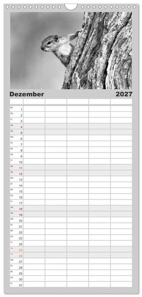 Produktbild: Familienplaner 2027 - Afrika Schwarz - Weiss mit 5 Spalten (Wandkalender, 21 x 45 cm) CALVENDO