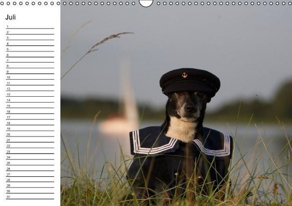 Produktbild: Jack Russell Terrier - Ein Verwandlungsk&uuml;nstler namens Jake / Geburtstagskalender (Wandkalender immerw&auml;hrend DIN A3 quer)