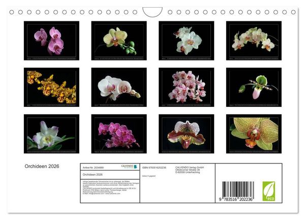 Produktbild: Orchideen 2026 (Wandkalender 2026 DIN A4 quer), CALVENDO Monatskalender