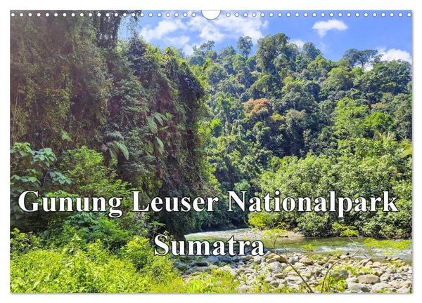 Gunung Leuser Nationalpark Sumatra (Wandkalender 2025 DIN A3 quer), CALVENDO Monatskalender