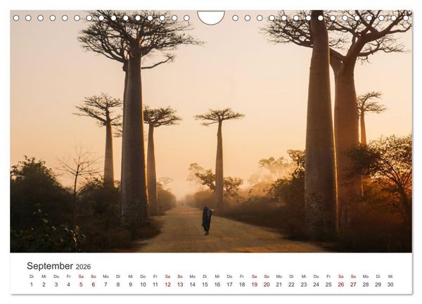 Produktbild: Madagaskar - Eine au&szlig;ergew&ouml;hnliche und wundersch&ouml;ne Insel. (Wandkalender 2026 DIN A4 quer), CALVENDO Monatskalender