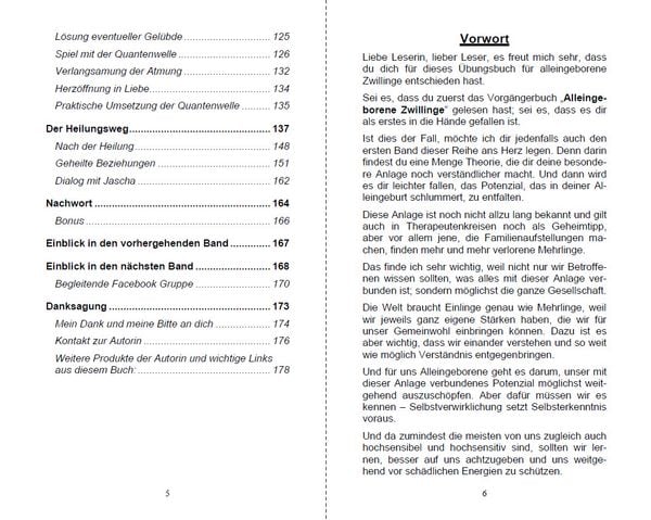 Produktbild: Alleingeborener Zwilling auf dem Weg in die Selbstheilung