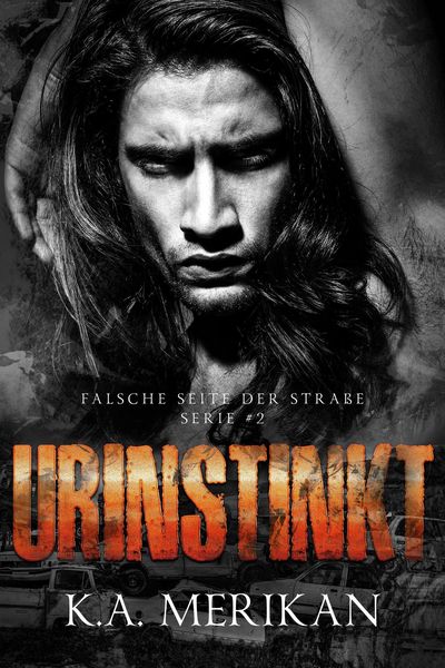 Produktbild: Urinstinkt (Falsche Seite der Stra&szlig;e, #2)