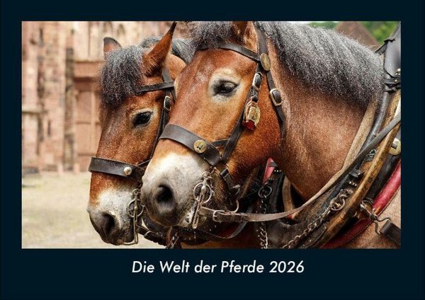 Produktbild: Die Welt der Pferde 2026 Fotokalender DIN A4