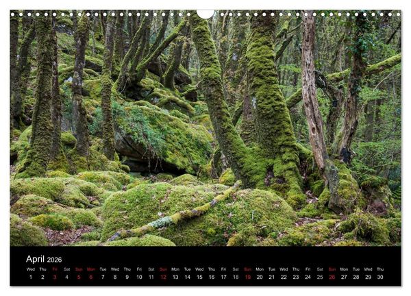 Produktbild: Scenes from Pembrokeshire (Wall Calendar 2026 DIN A3 landscape), CALVENDO 12 Month Wall Calendar
