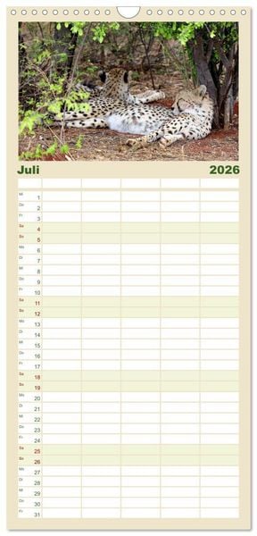 Produktbild: Familienplaner 2026 - Roadtrip in Namibia mit 5 Spalten (Wandkalender, 21 x 45 cm) CALVENDO