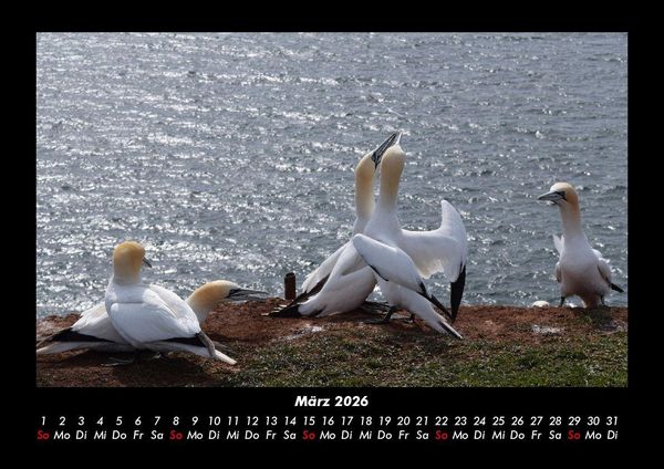 Produktbild: Die Seen der Erde 2026 Fotokalender DIN A3