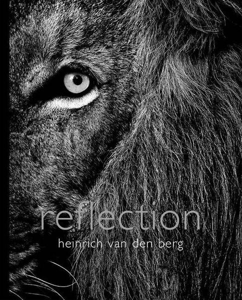 Produktbild: Reflection