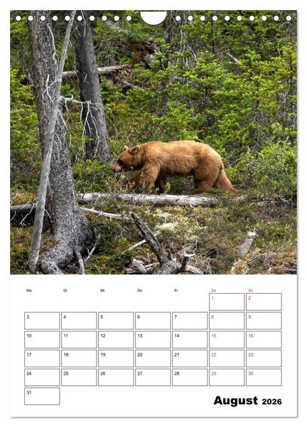 Produktbild: Mein Sch&ouml;nes Kanada (Wandkalender 2026 DIN A4 hoch), CALVENDO Monatskalender