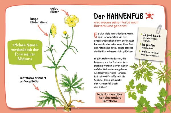 Produktbild: Mein erster Naturf&uuml;hrer, Was bl&uuml;ht denn da?
