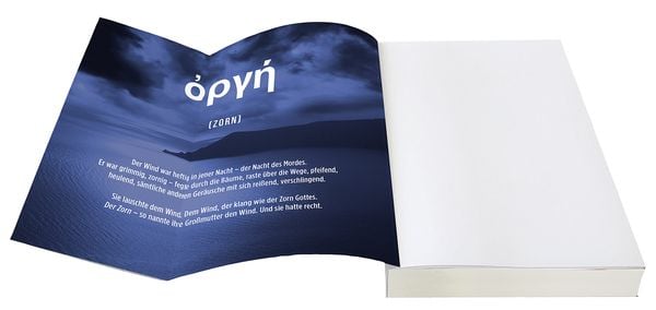 Produktbild: Die Insel des Zorns