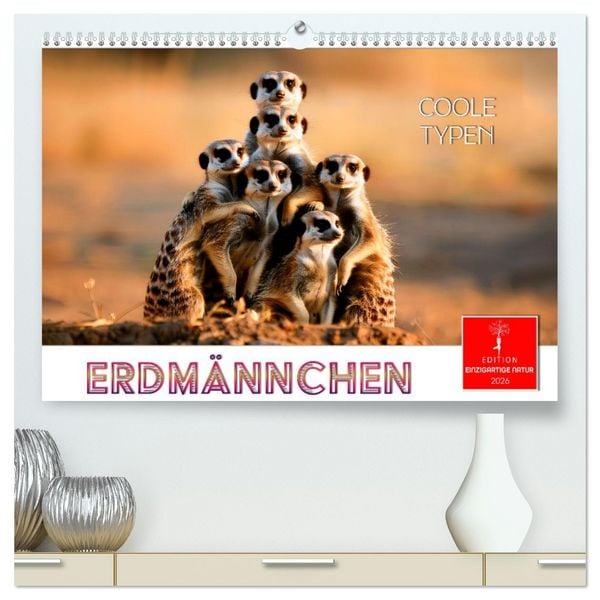 Erdmännchen - coole Typen (hochwertiger Premium Wandkalender 2026 DIN A2 quer), Kunstdruck in Hochglanz