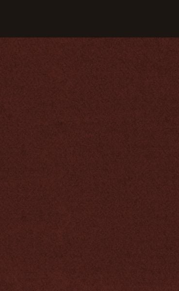 Produktbild: Gel&auml;chter im Dunkel / Verzweiflung / Camera obscura