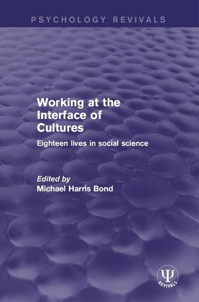 Produktbild: Working at the Interface of Cultures