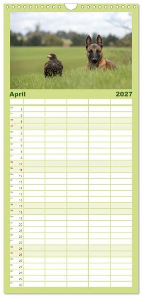 Produktbild: Familienplaner 2027 - Belgischer Sch&auml;ferhund - Der Malinois mit 5 Spalten (Wandkalender, 21 x 45 cm) CALVENDO