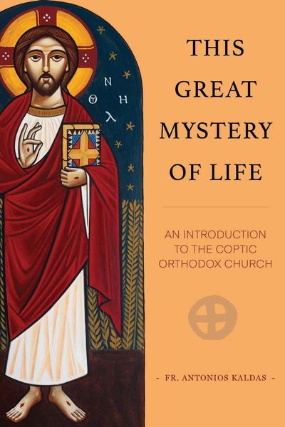 Produktbild: This Great Mystery of Life