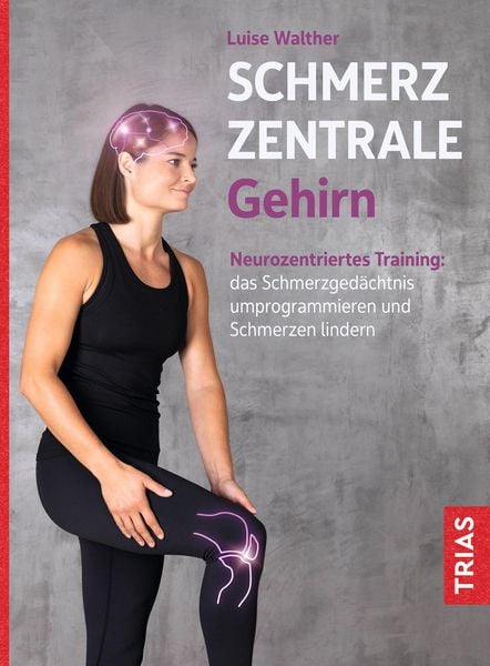 Produktbild: Schmerzzentrale Gehirn