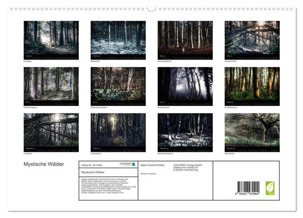 Produktbild: Mystische W&auml;lder (hochwertiger Premium Wandkalender 2026 DIN A2 quer), Kunstdruck in Hochglanz