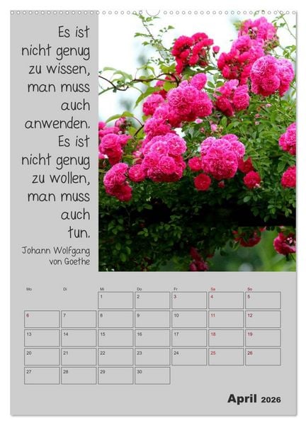 Produktbild: Motivationshilfe (Wandkalender 2026 DIN A2 hoch), CALVENDO Monatskalender