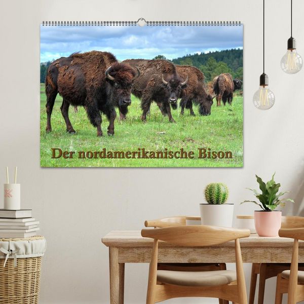 Produktbild: Der nordamerikanische Bison (Wandkalender 2026 DIN A2 quer), CALVENDO Monatskalender