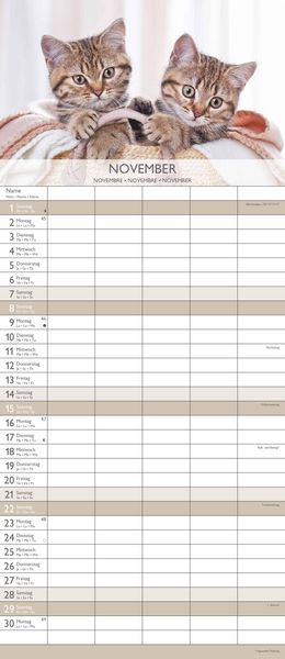 Kätzchen 2026 Familienplaner - Familienkalender - Wandkalender - 19,5x45