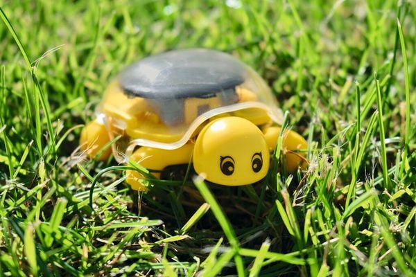 Produktbild: PhänoMINT Solar-Schildkröte
