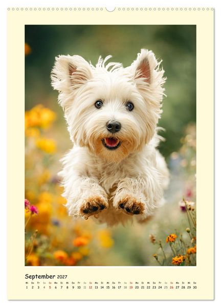 Produktbild: S&uuml;&szlig;er Wuschelkopf. West Highland White Terrier Momente (hochwertiger Premium Wandkalender 2027 DIN A2 hoch), Kunstdruck in Hochglanz