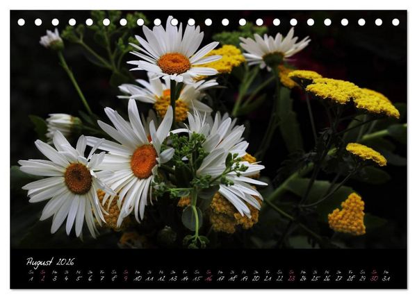 Produktbild: Florales Sonett - Visuelle Musik der Blumen (Tischkalender 2026 DIN A5 quer), CALVENDO Monatskalender