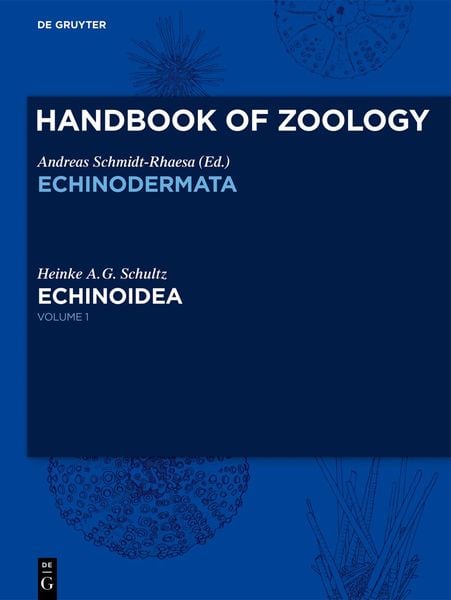 Produktbild: Echinoidea