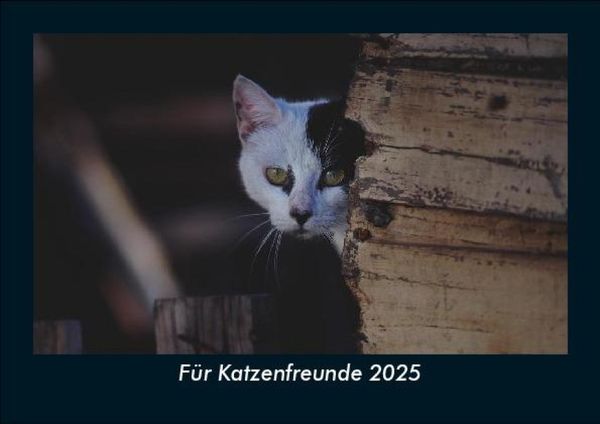 Produktbild: F&uuml;r Katzenfreunde 2025 Fotokalender DIN A5